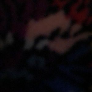 Meet your Posher, Mikayla